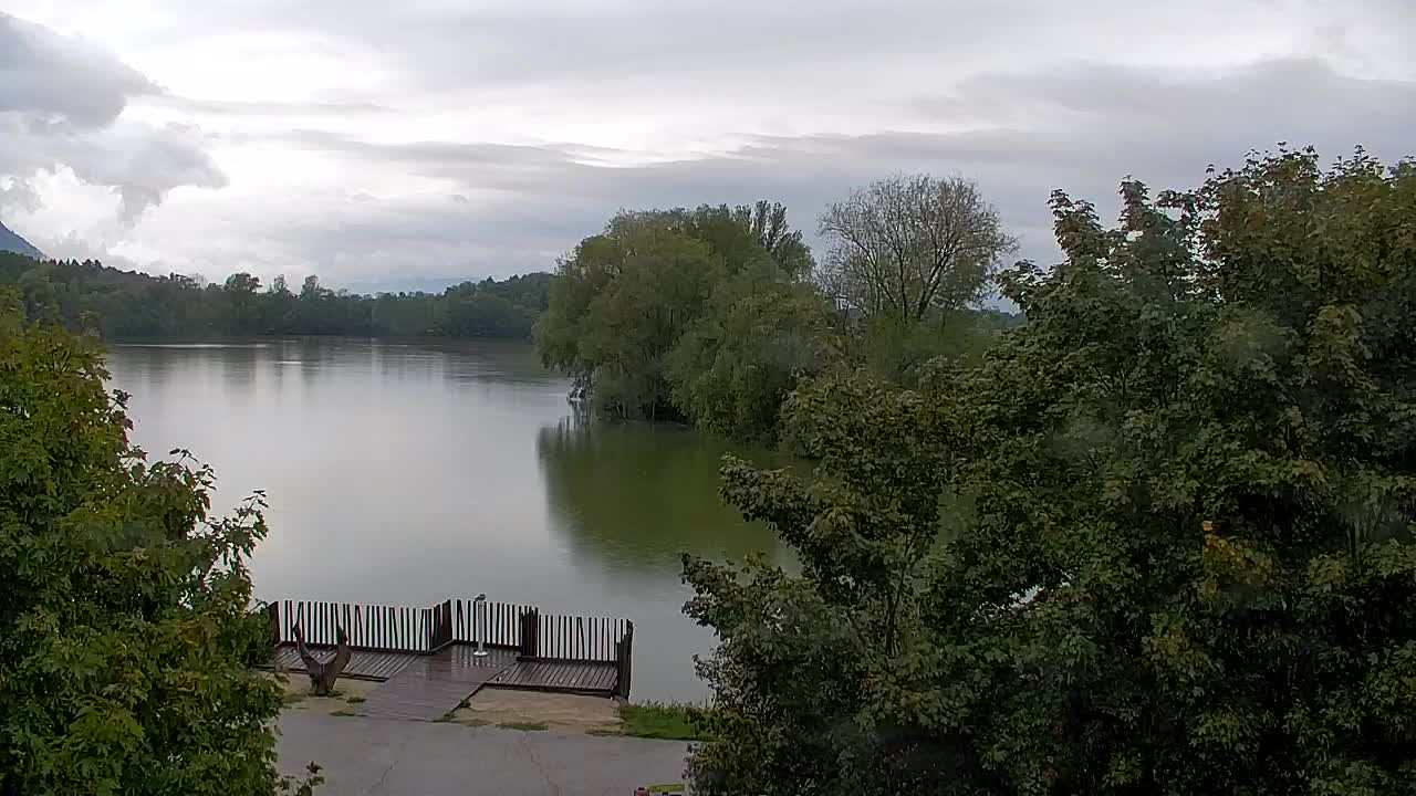 Webcam Ribnik Vrbje – Žalec