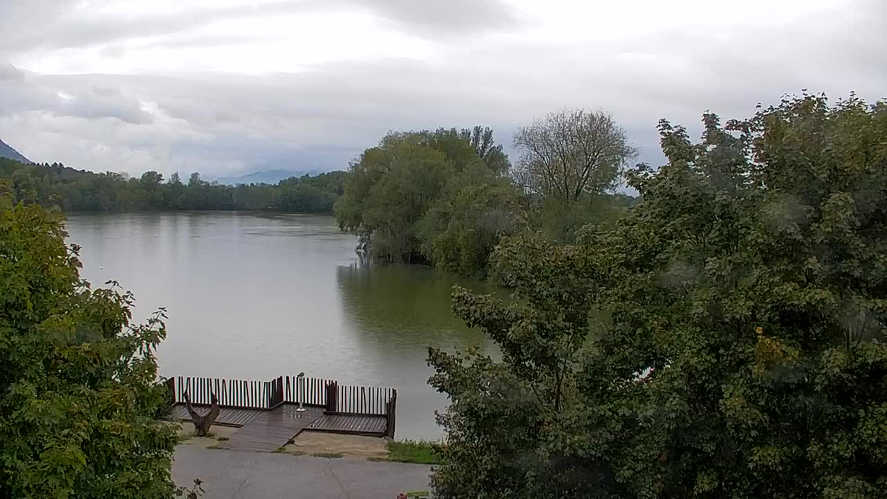 Webcam Ribnik Vrbje – Žalec