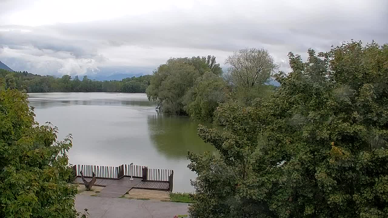 Webcam Ribnik Vrbje – Žalec