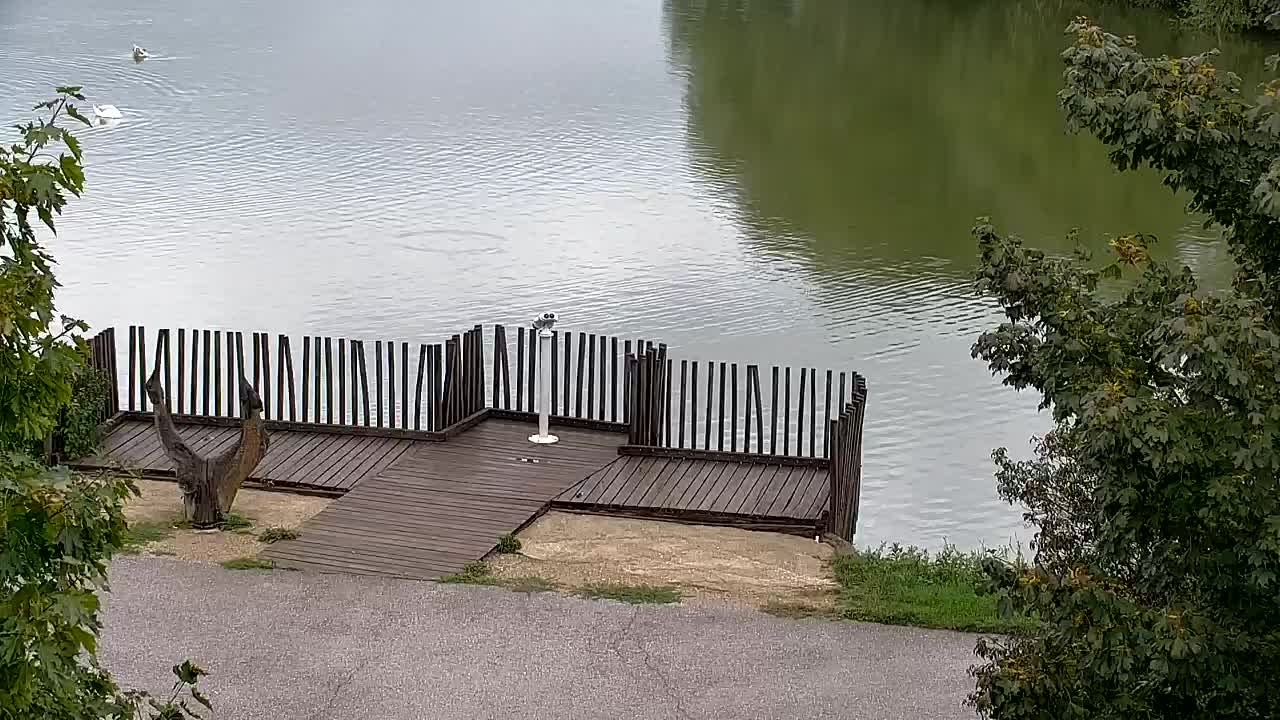 Webcam Ribnik Vrbje – Žalec