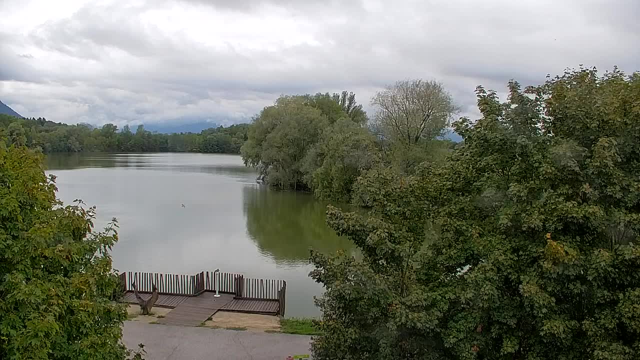 Web kamera Ribnik Vrbje – Žalec