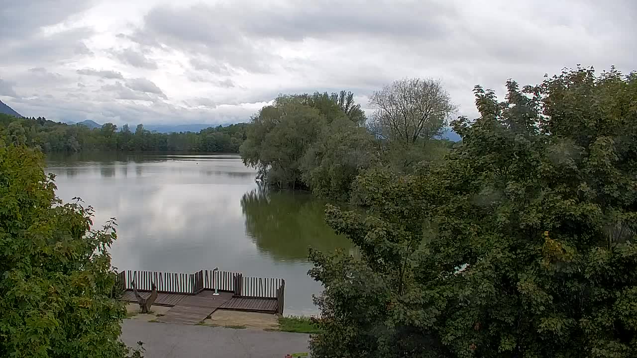 Webcam Ribnik Vrbje – Žalec