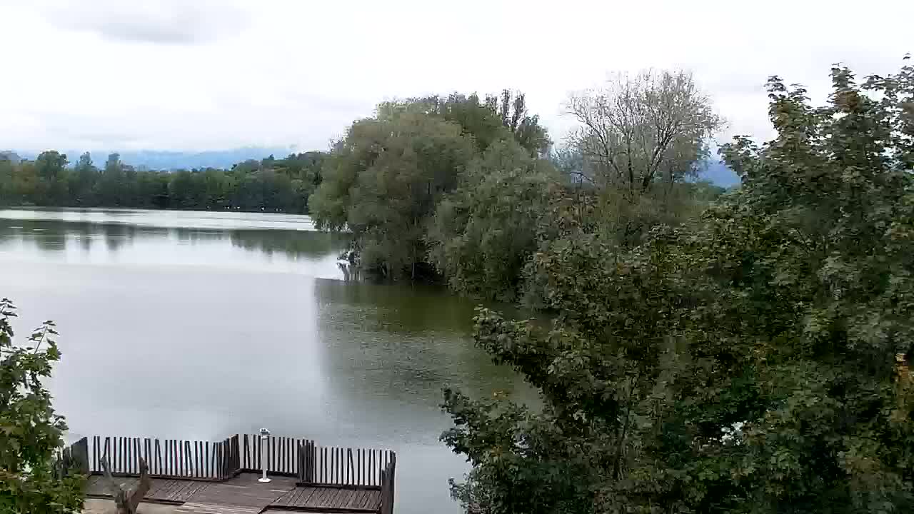 Webcam Ribnik Vrbje – Žalec