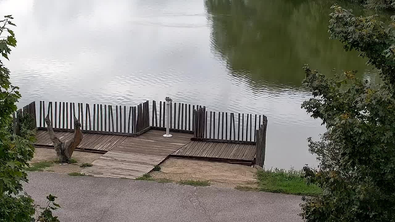 Webcam Ribnik Vrbje – Žalec