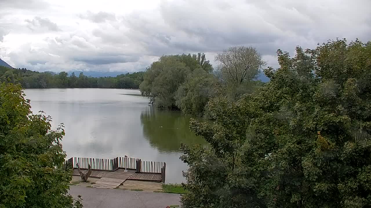 Webcam Ribnik Vrbje – Žalec