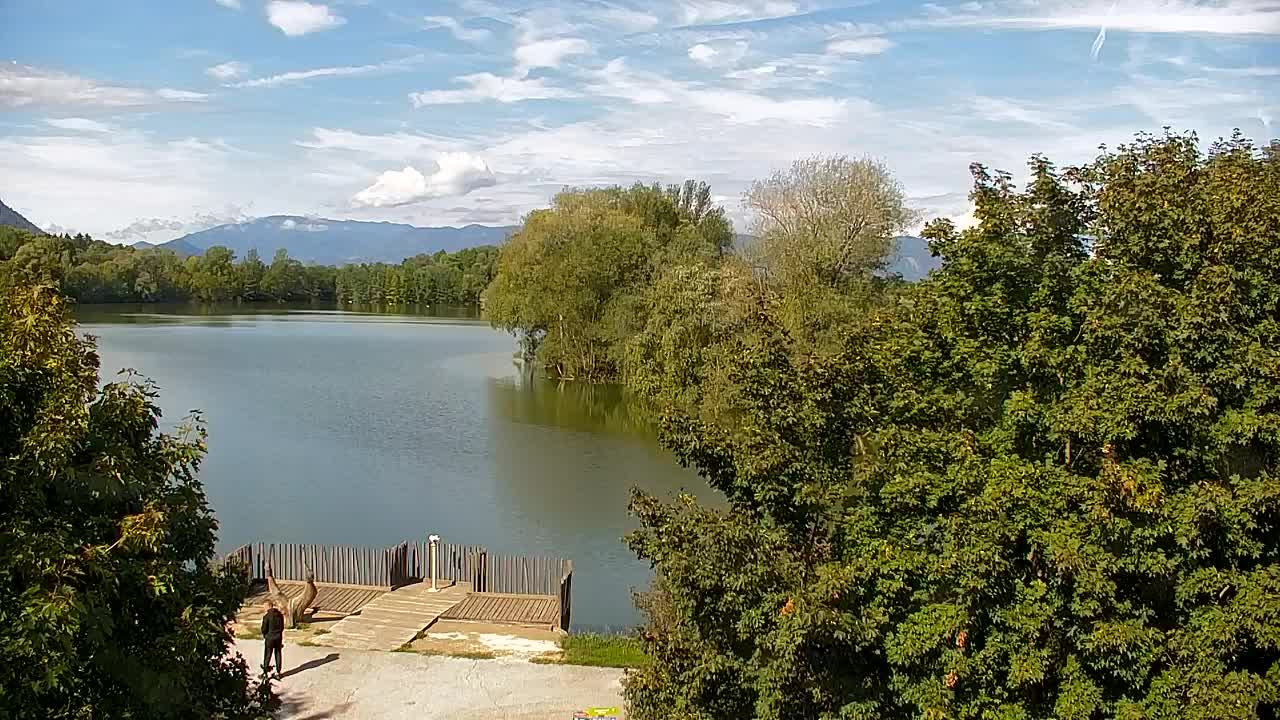 Webcam Ribnik Vrbje – Žalec