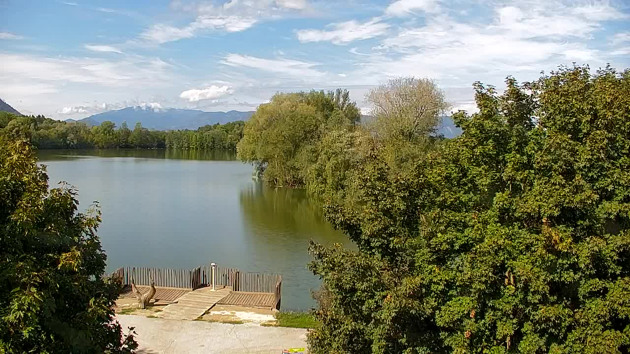Webcam Ribnik Vrbje – Žalec
