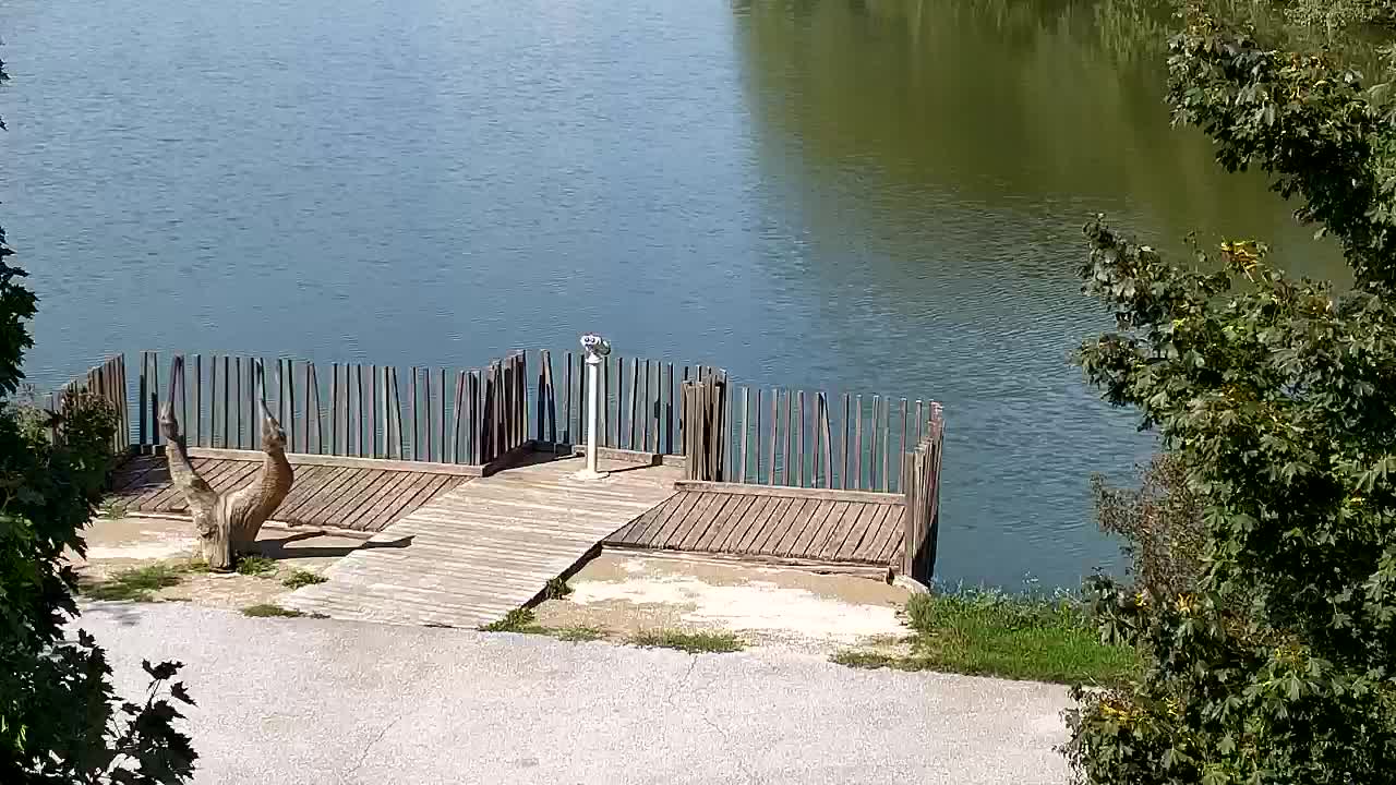 Webcam Ribnik Vrbje – Žalec