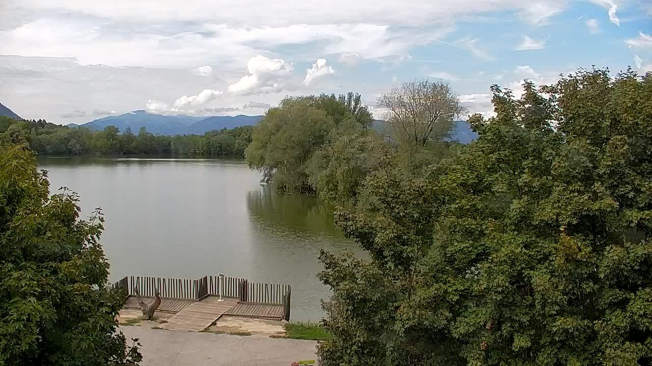 Webcam Ribnik Vrbje – Žalec