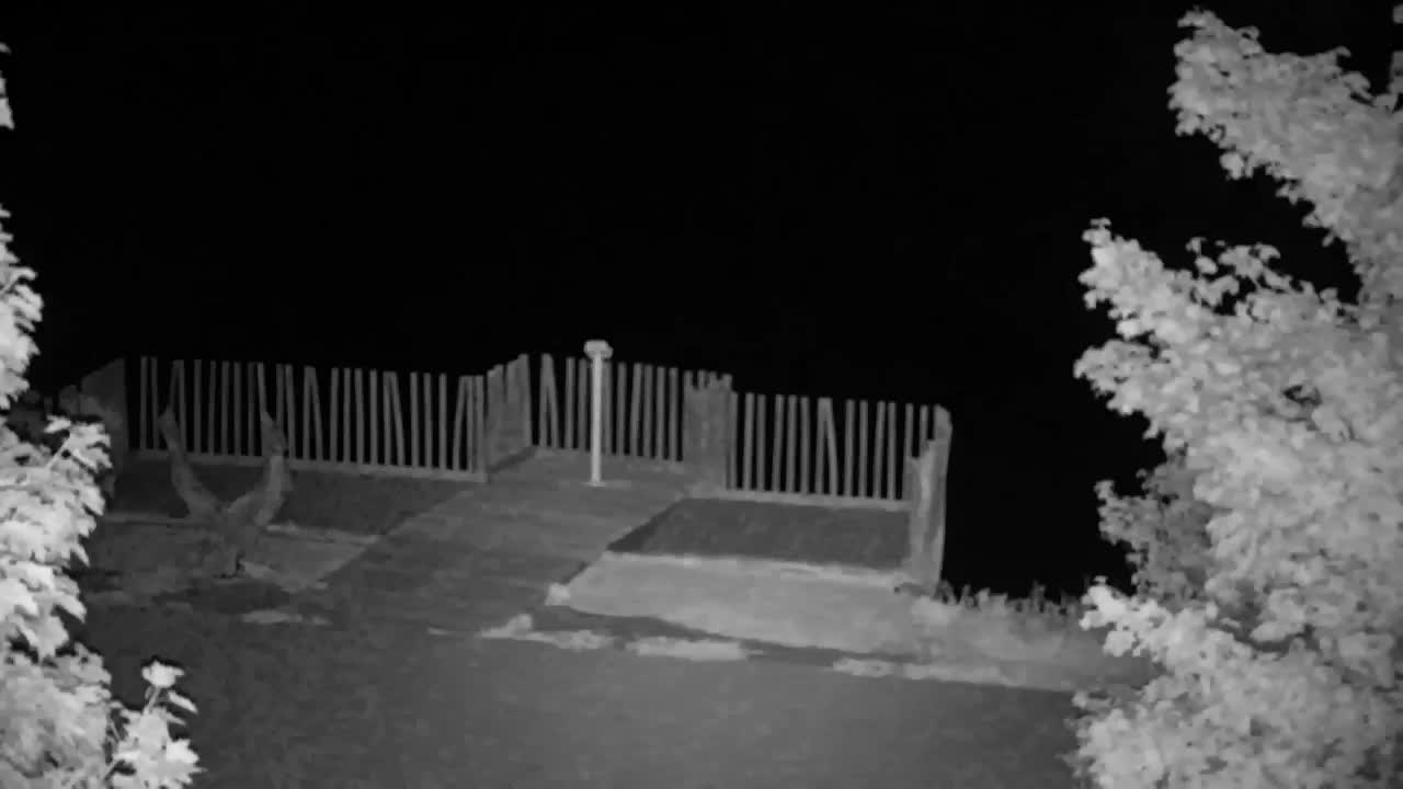 Webcam Ribnik Vrbje – Žalec