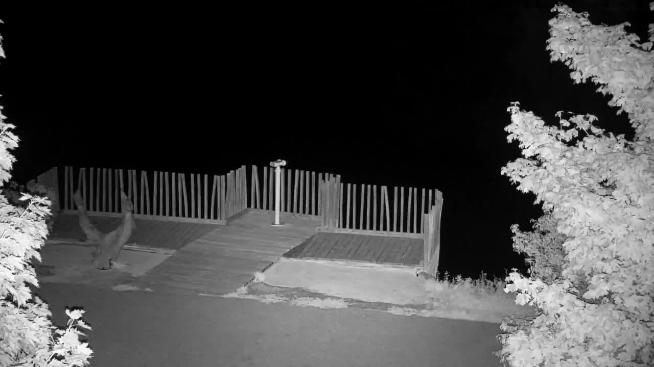 Webcam Ribnik Vrbje – Žalec
