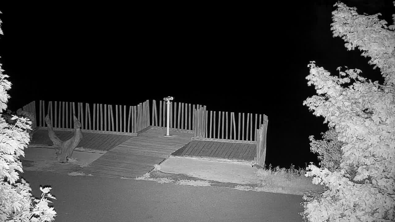 Webcam Ribnik Vrbje – Žalec