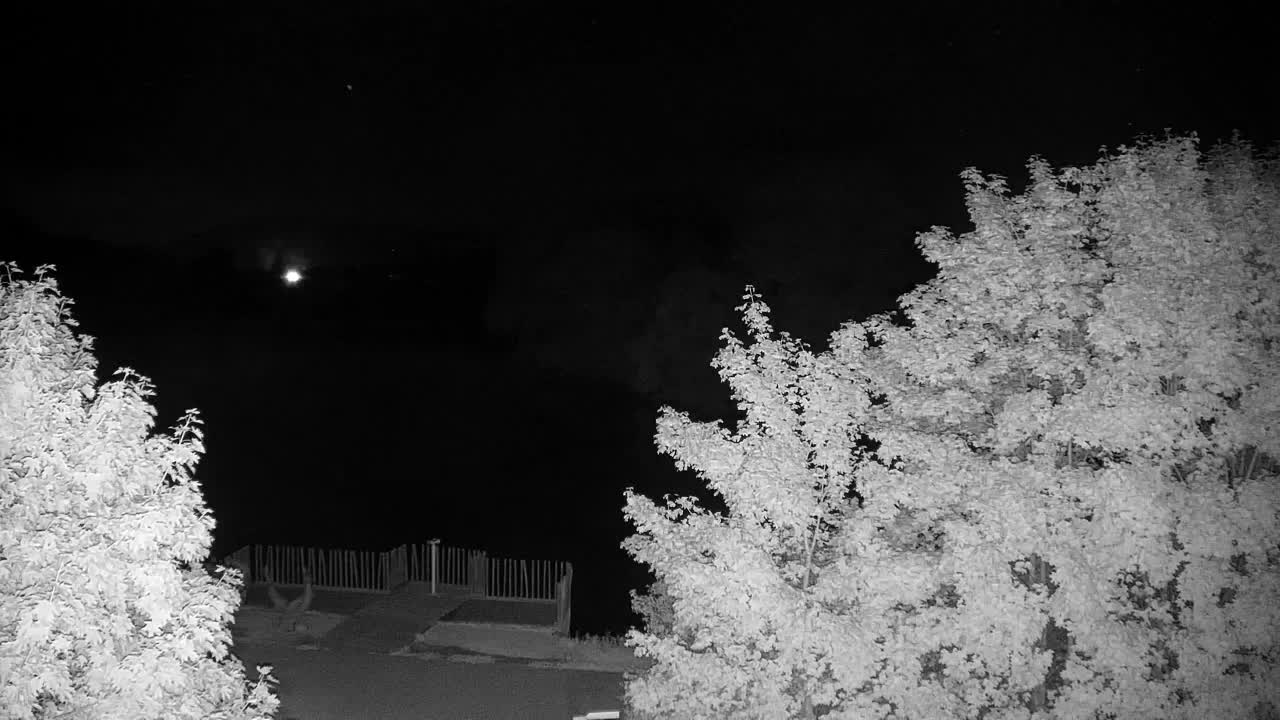 Webcam Ribnik Vrbje – Žalec