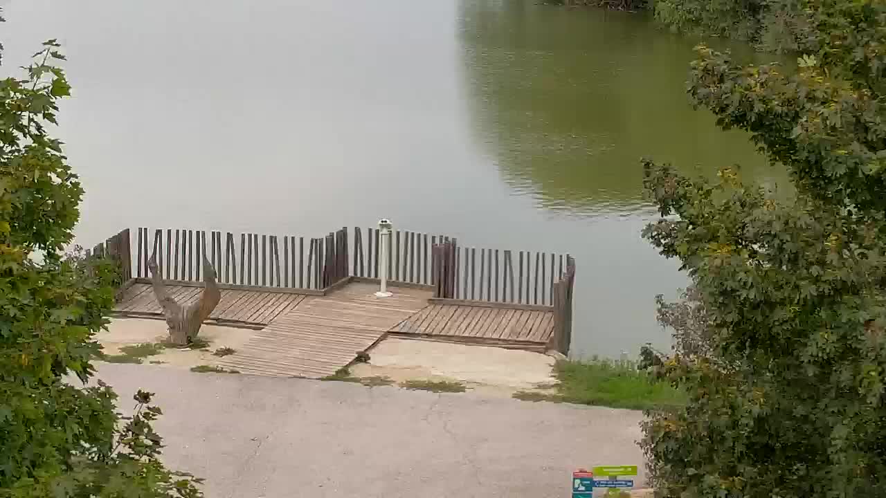 Webcam Ribnik Vrbje – Žalec