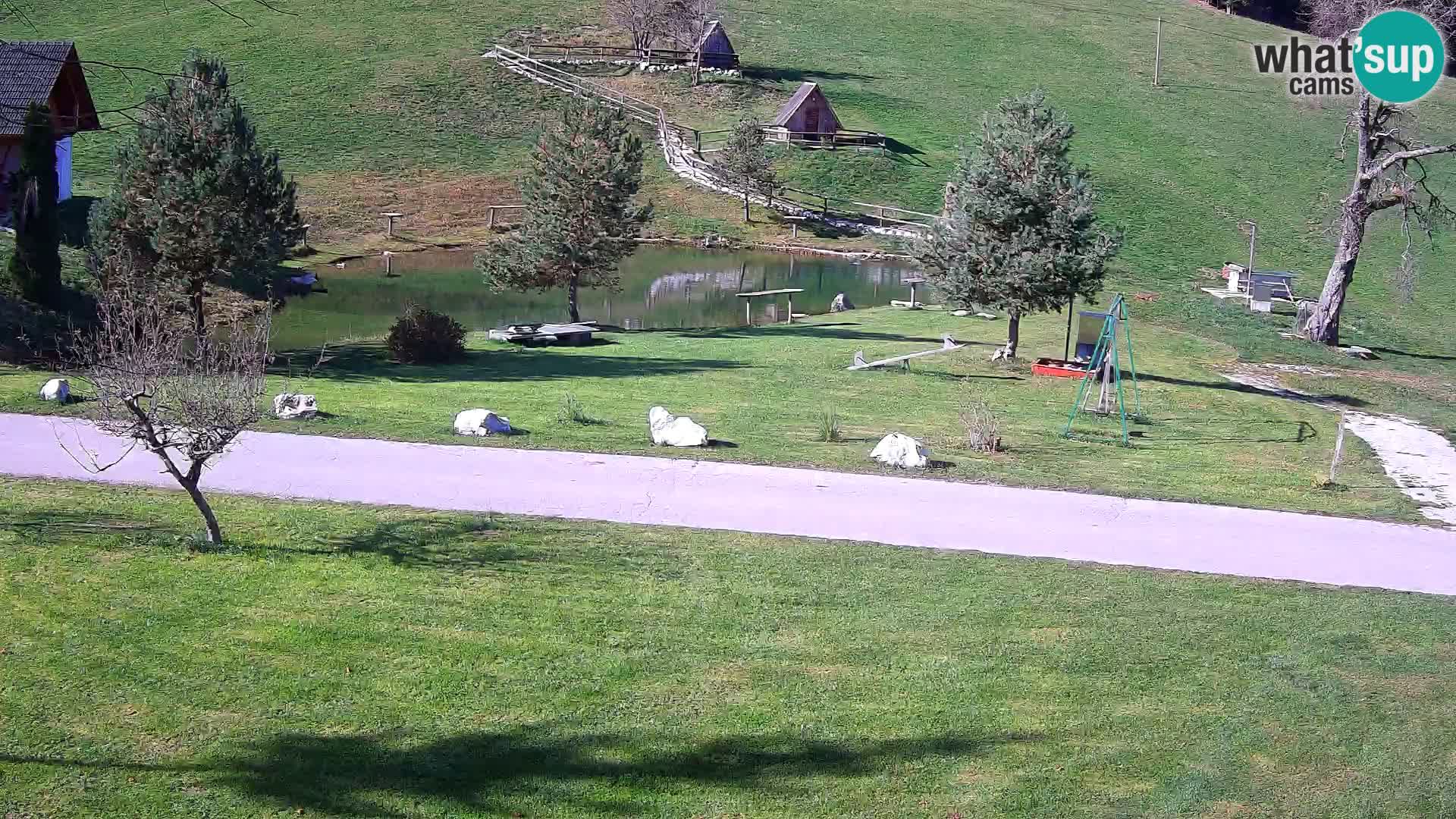 Teich auf dem Bauernhof Pr’Vrhovc | Webkamera