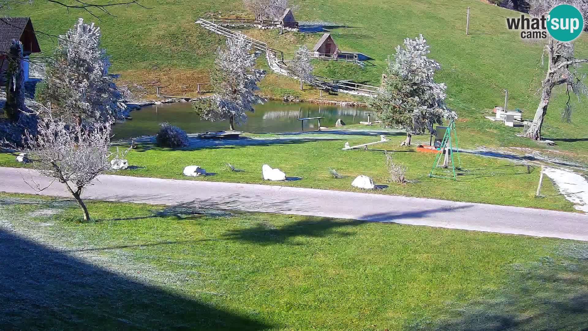 Pond at the Pr’Vrhovc Homestead Webcam