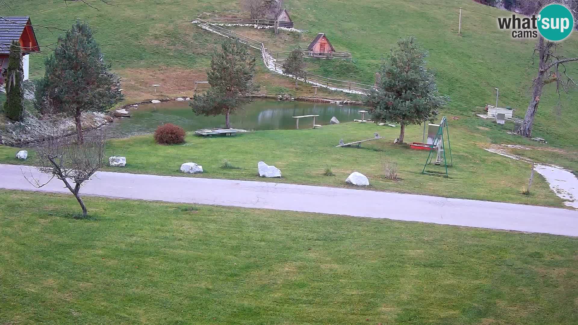 Stagno presso la Fattoria turistica Pr’Vrhovc | webcam in diretta