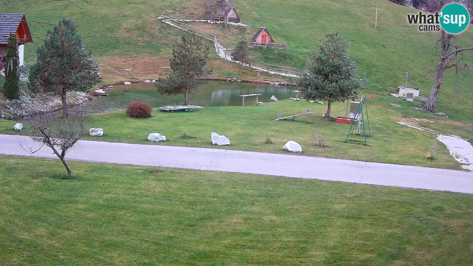 Teich auf dem Bauernhof Pr’Vrhovc | Webkamera