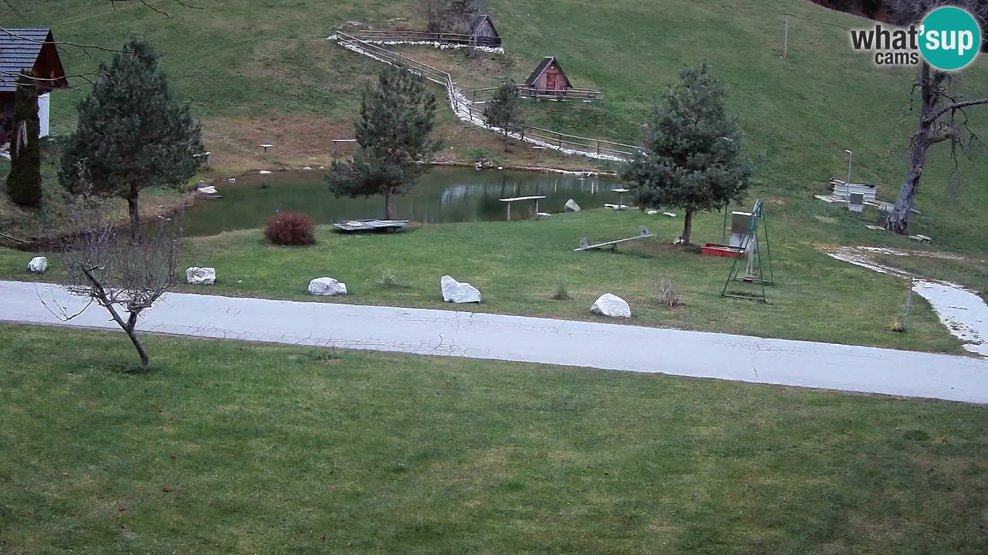 Stagno presso la Fattoria turistica Pr’Vrhovc | webcam in diretta