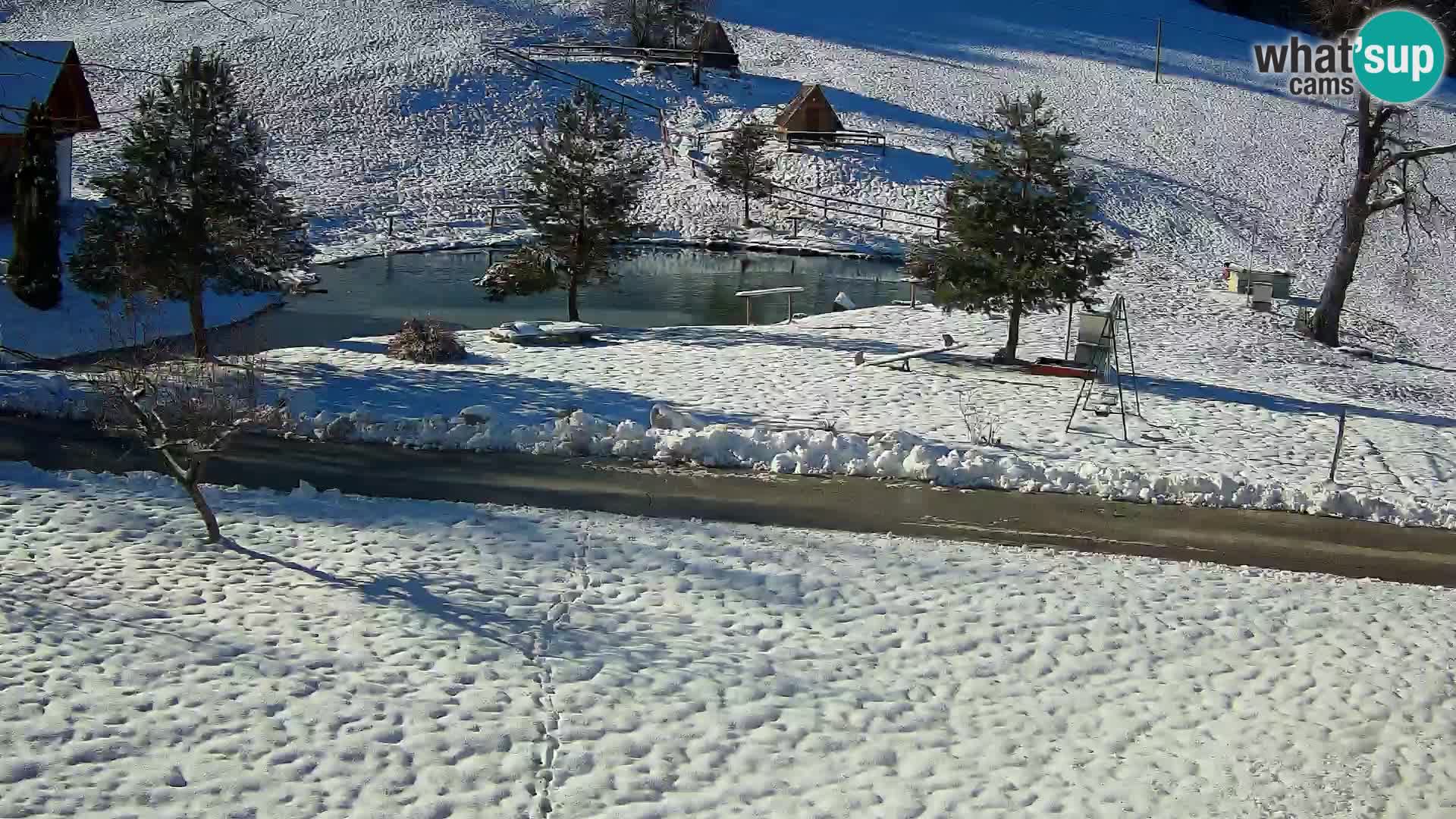 Stagno presso la Fattoria turistica Pr’Vrhovc | webcam in diretta