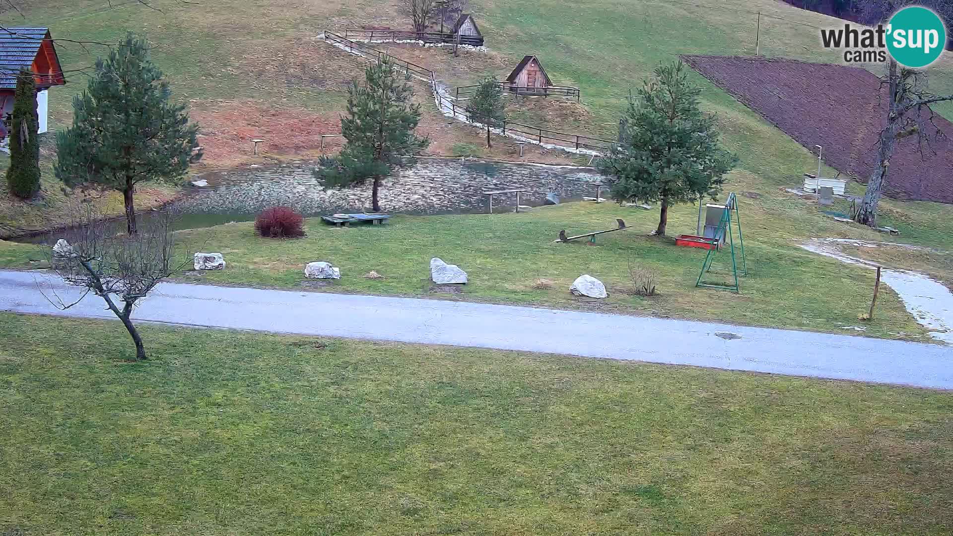 Stagno presso la Fattoria turistica Pr’Vrhovc | webcam in diretta