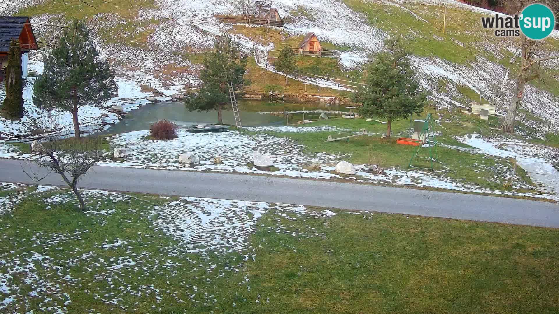 Stagno presso la Fattoria turistica Pr’Vrhovc | webcam in diretta