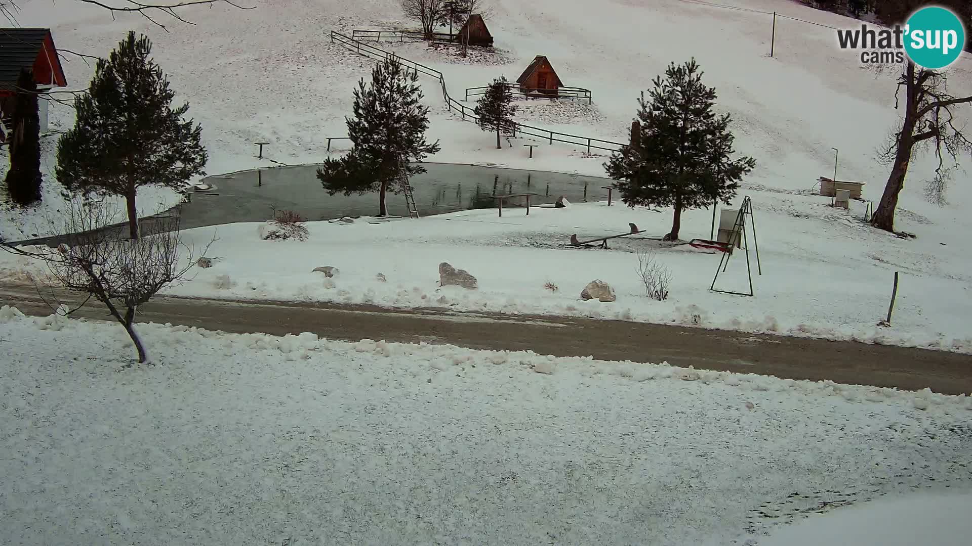 Ribnik na Domačiji Pr’Vrhovc | Spletna kamera