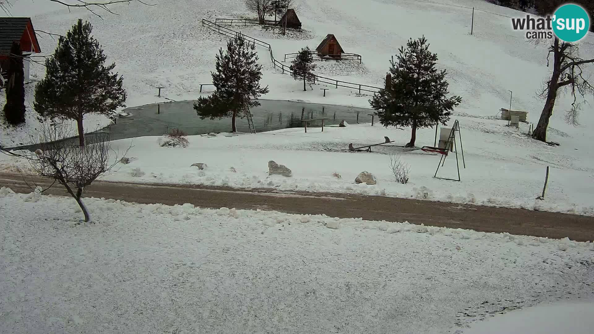 Stagno presso la Fattoria turistica Pr’Vrhovc | webcam in diretta