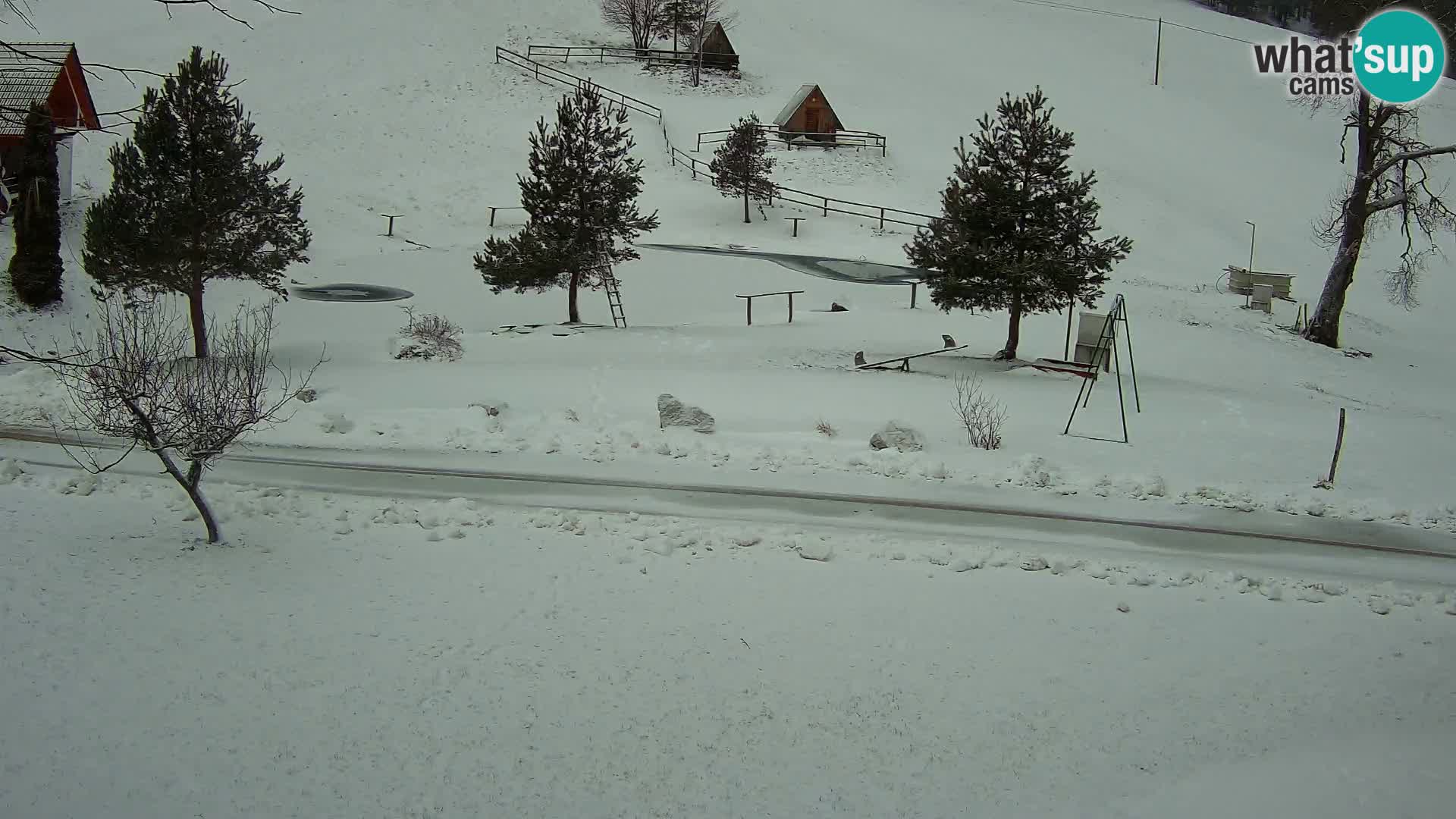 Stagno presso la Fattoria turistica Pr’Vrhovc | webcam in diretta