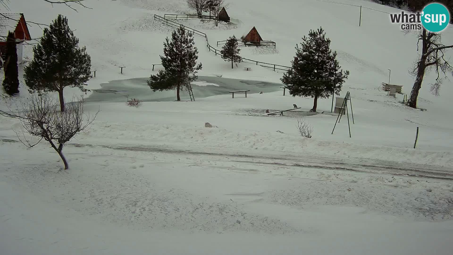 Stagno presso la Fattoria turistica Pr’Vrhovc | webcam in diretta