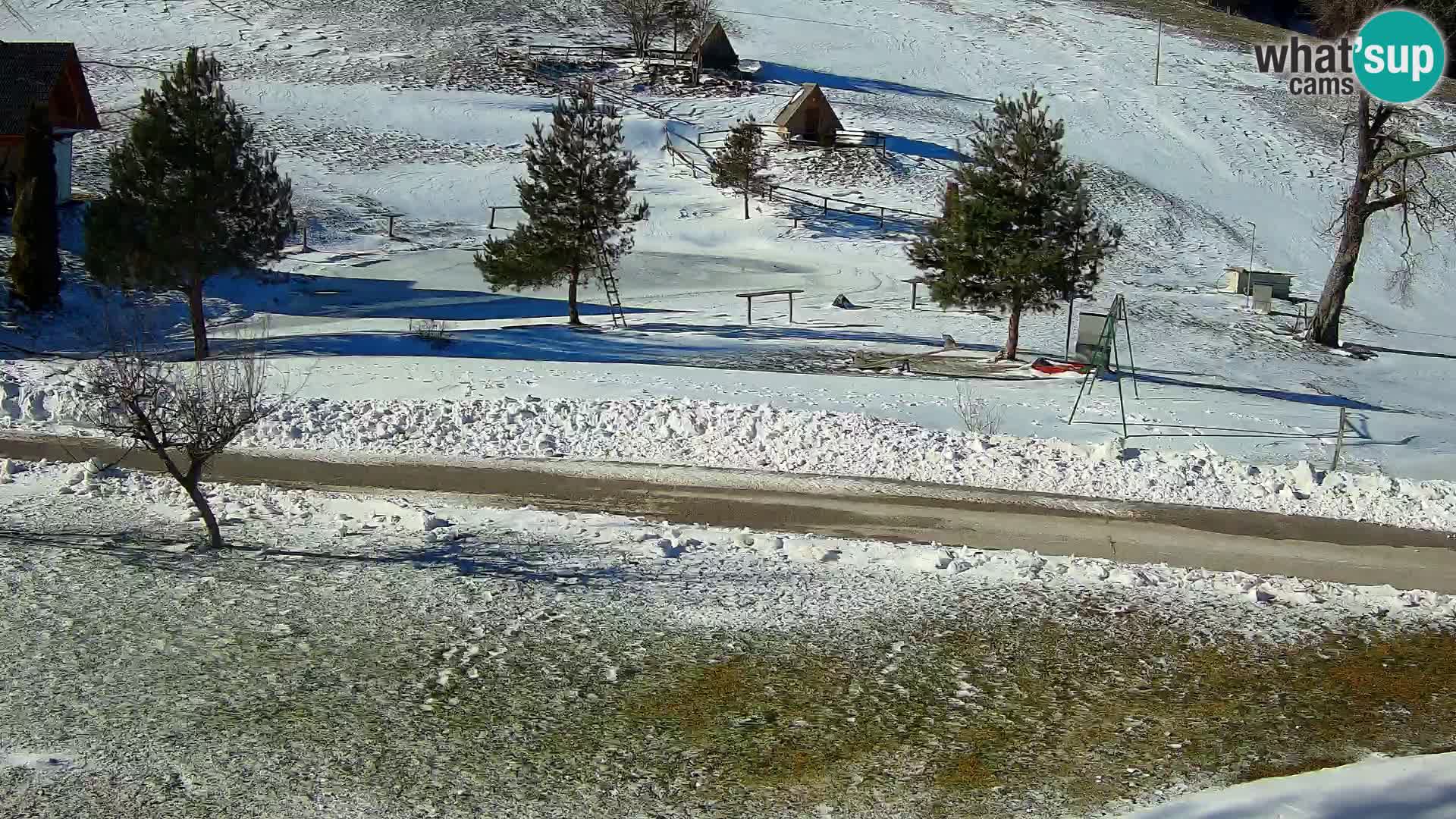 Stagno presso la Fattoria turistica Pr’Vrhovc | webcam in diretta