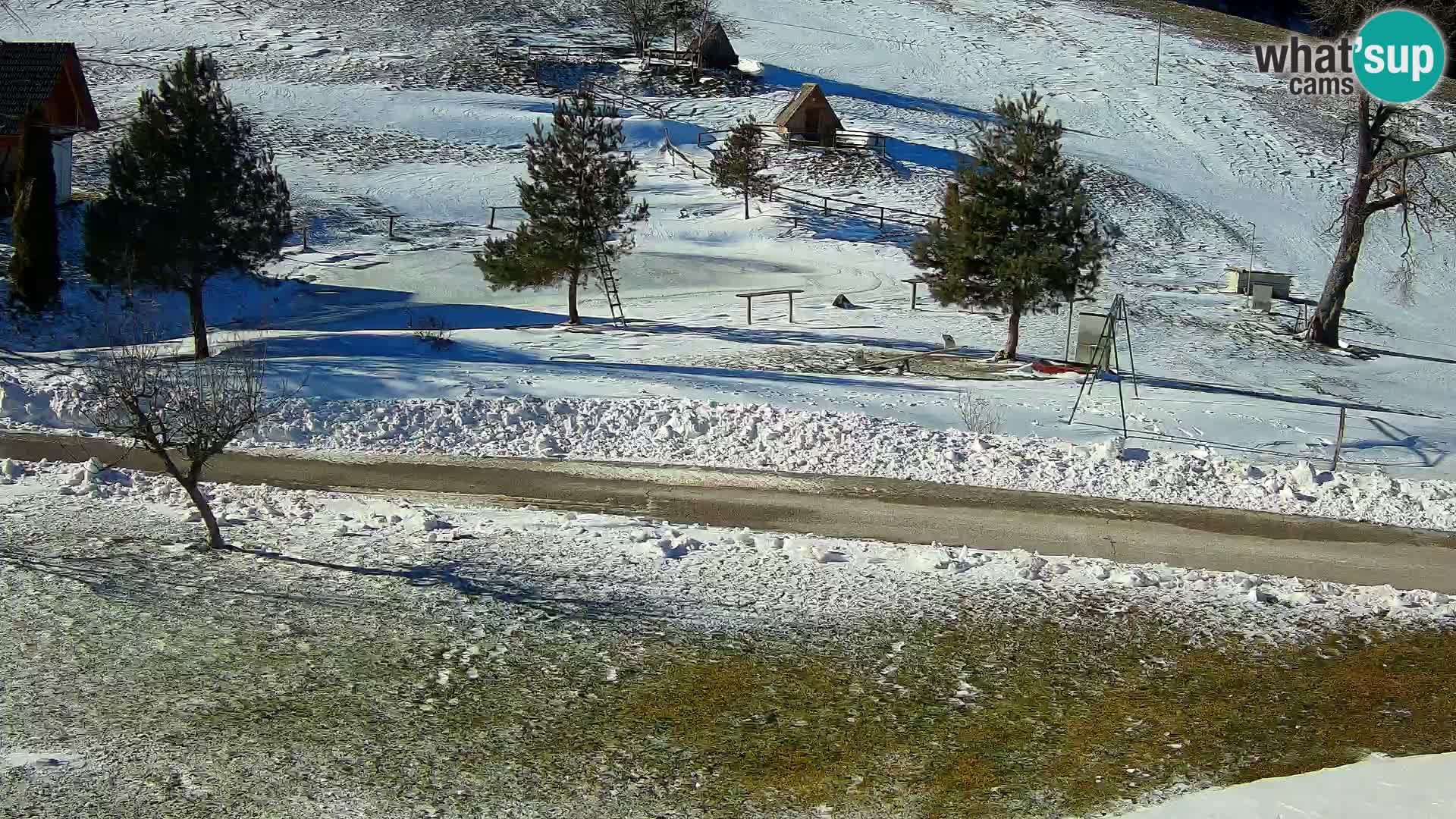 Stagno presso la Fattoria turistica Pr’Vrhovc | webcam in diretta