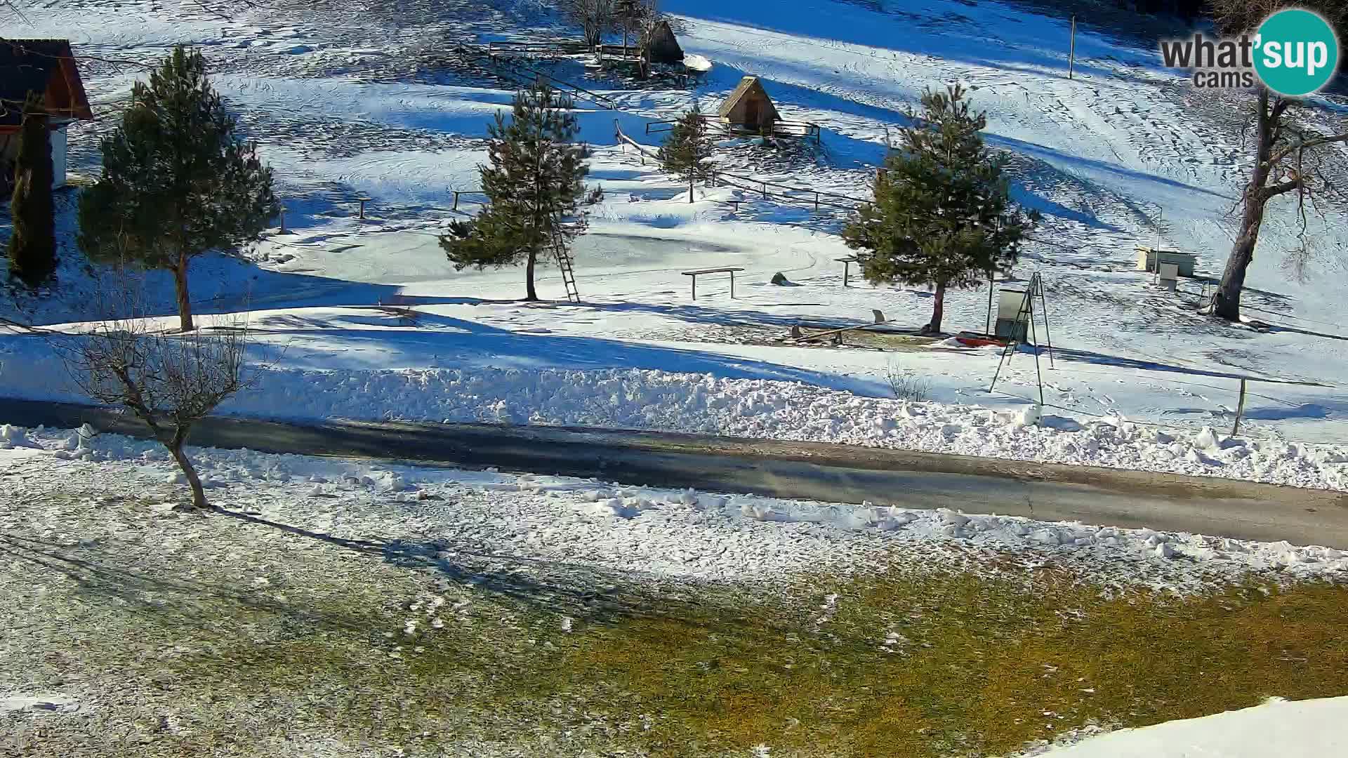 Pond at the Pr’Vrhovc Homestead Webcam