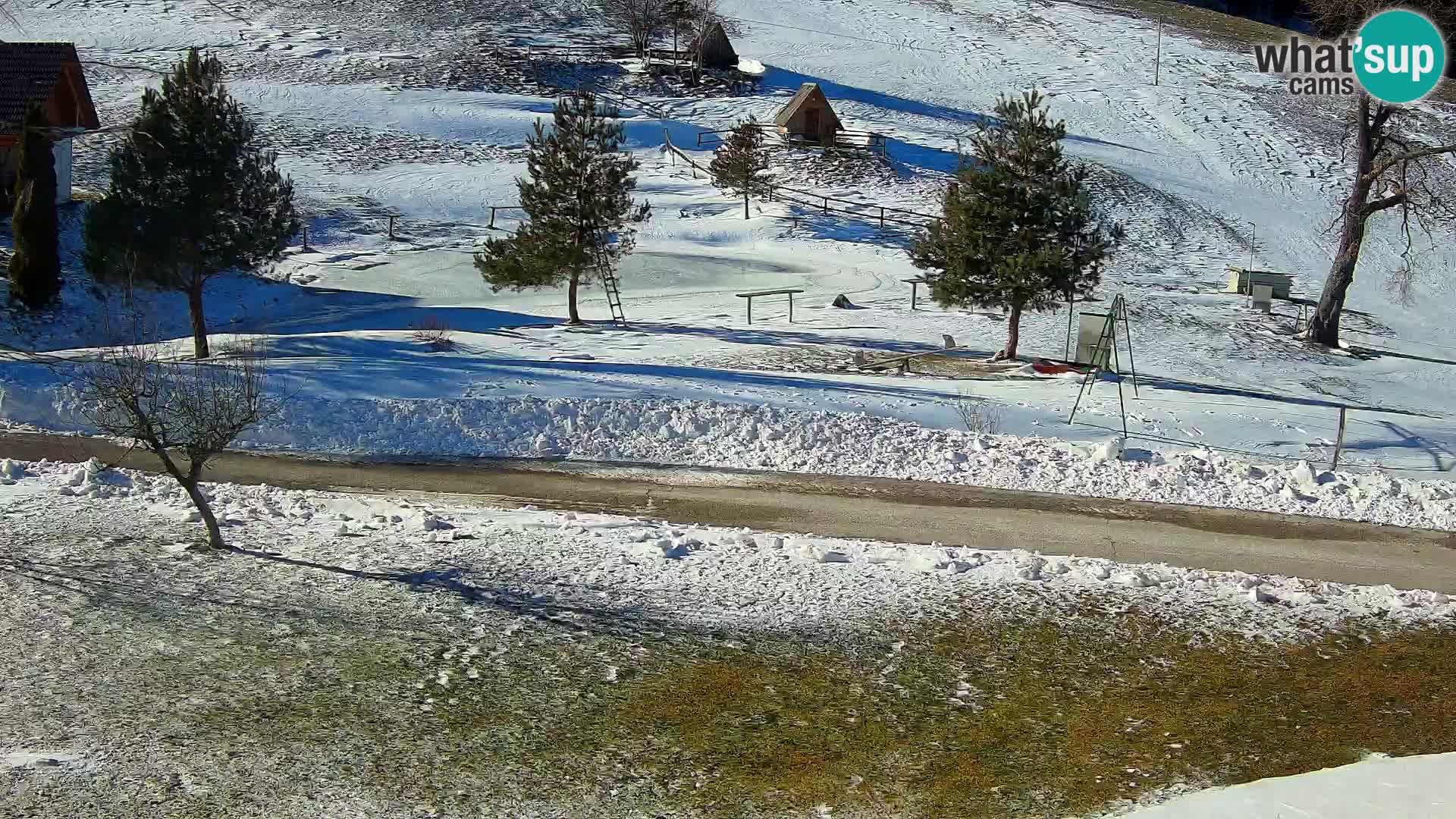 Pond at the Pr’Vrhovc Homestead Webcam