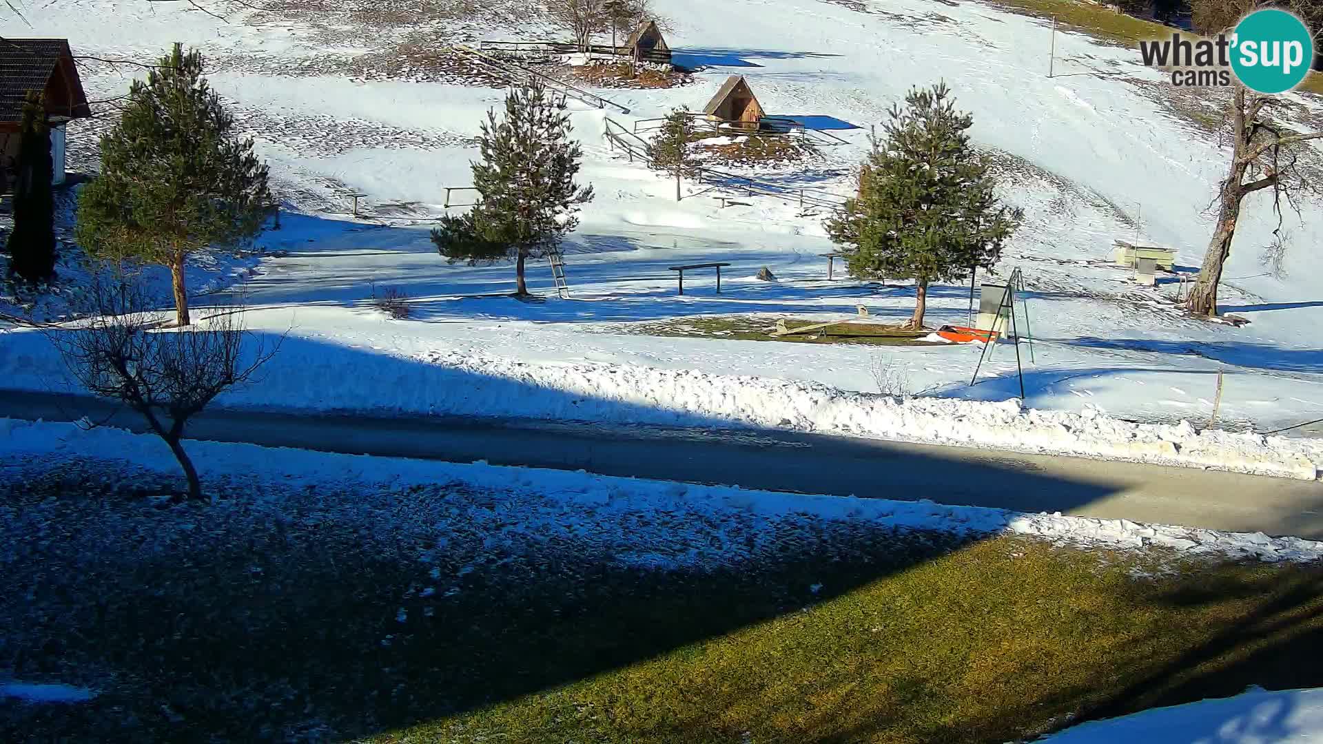 Pond at the Pr’Vrhovc Homestead Webcam