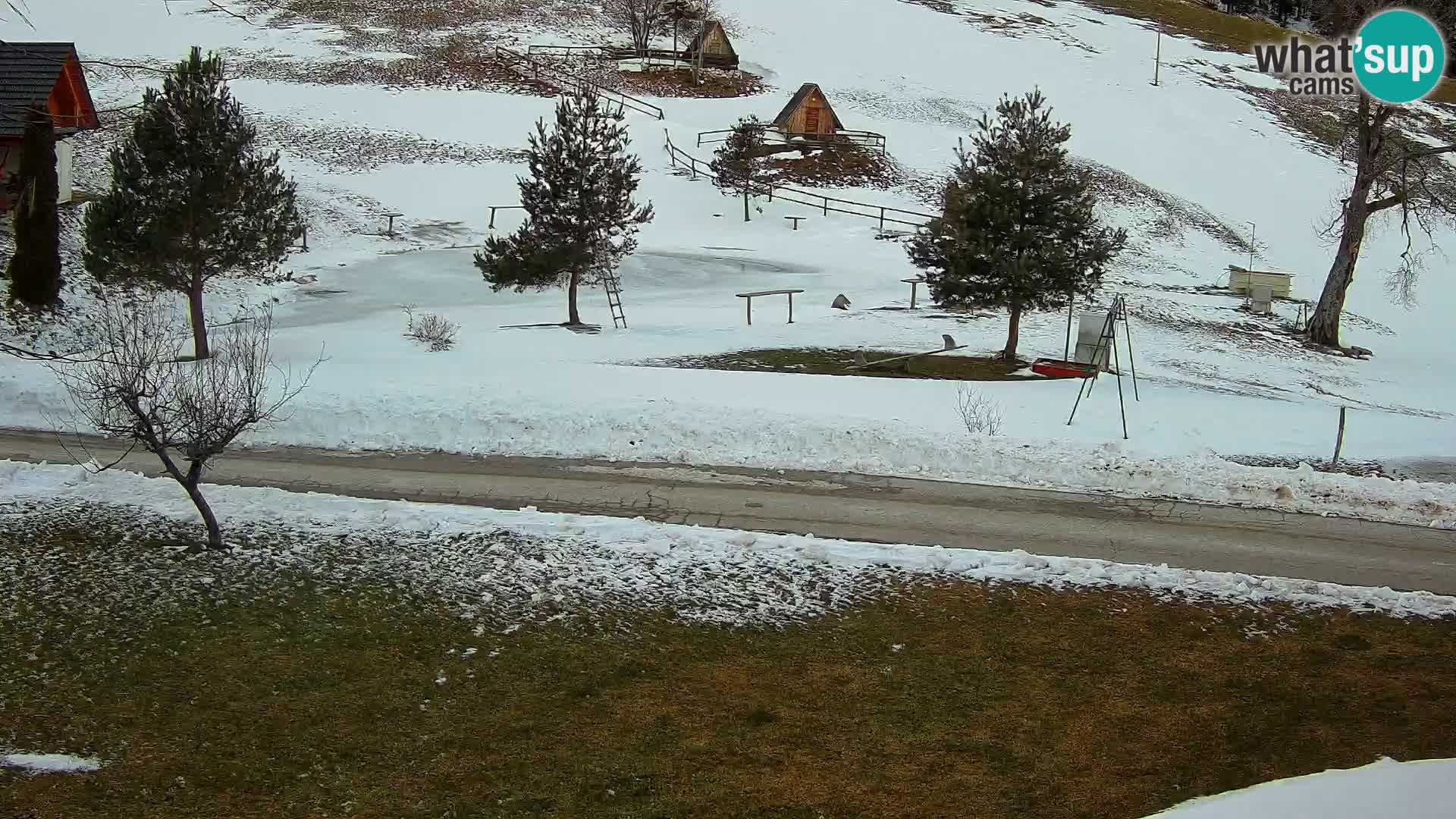 Pond at the Pr’Vrhovc Homestead Webcam