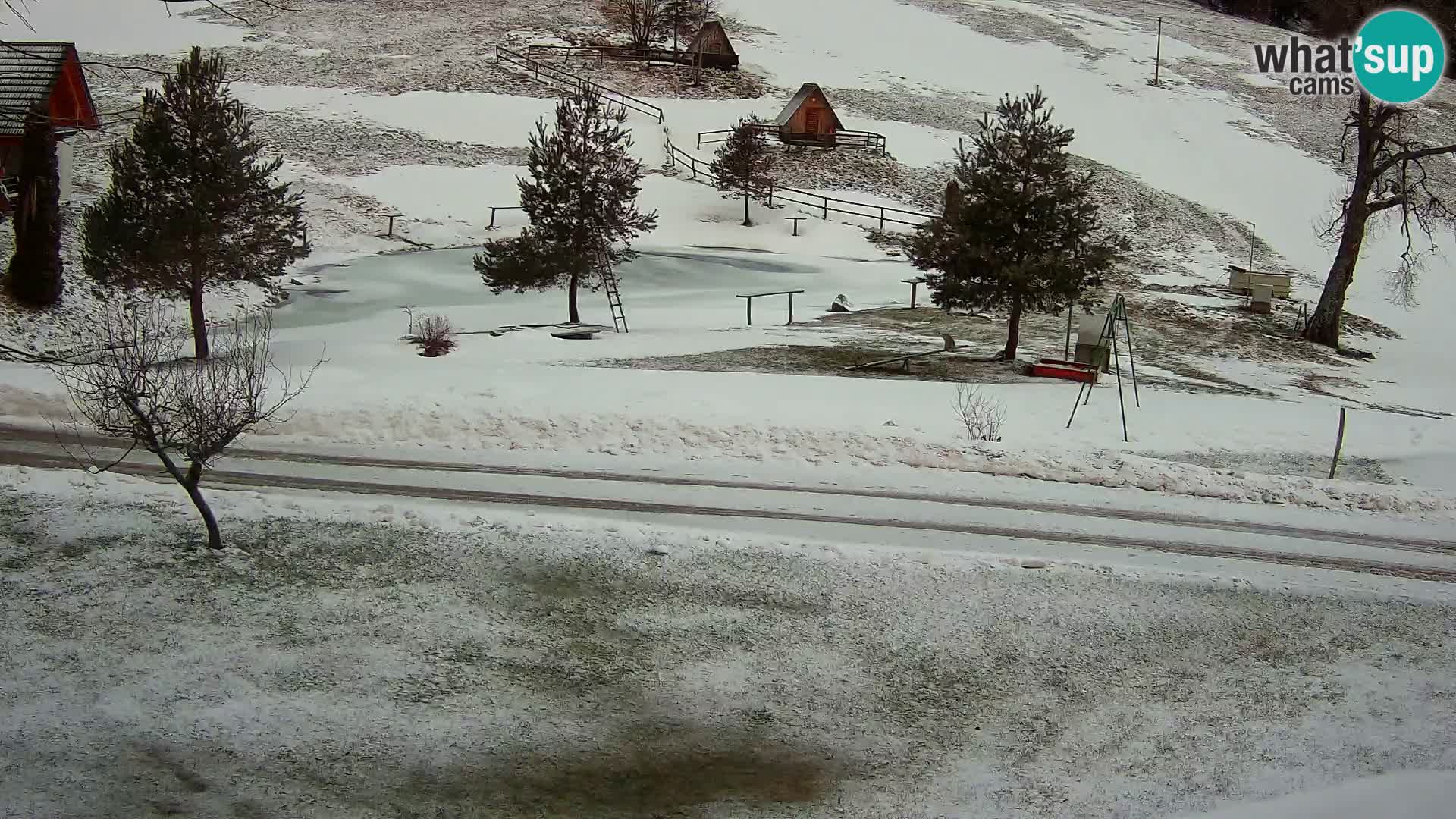 Pond at the Pr’Vrhovc Homestead Webcam