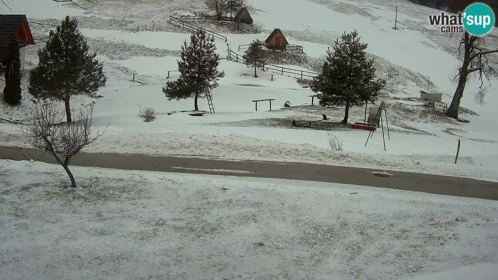 Pond at the Pr’Vrhovc Homestead Webcam