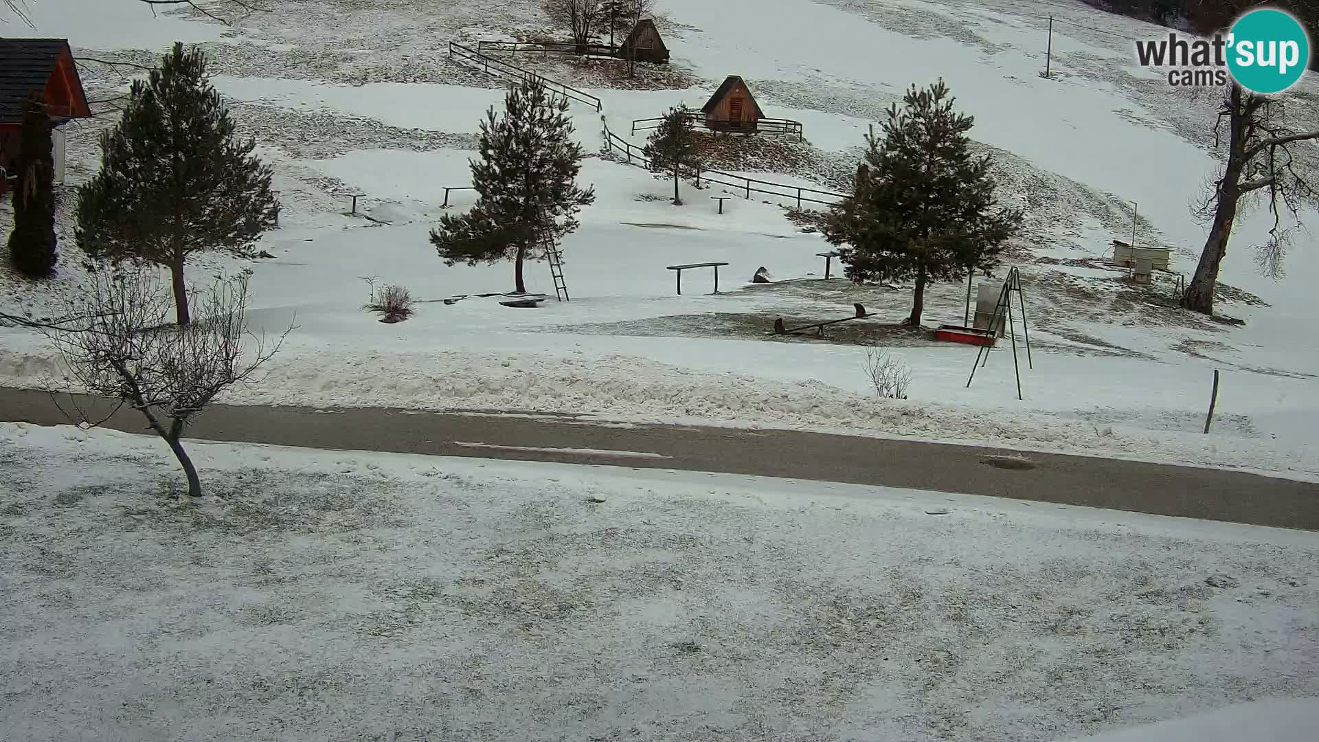 Stagno presso la Fattoria turistica Pr’Vrhovc | webcam in diretta