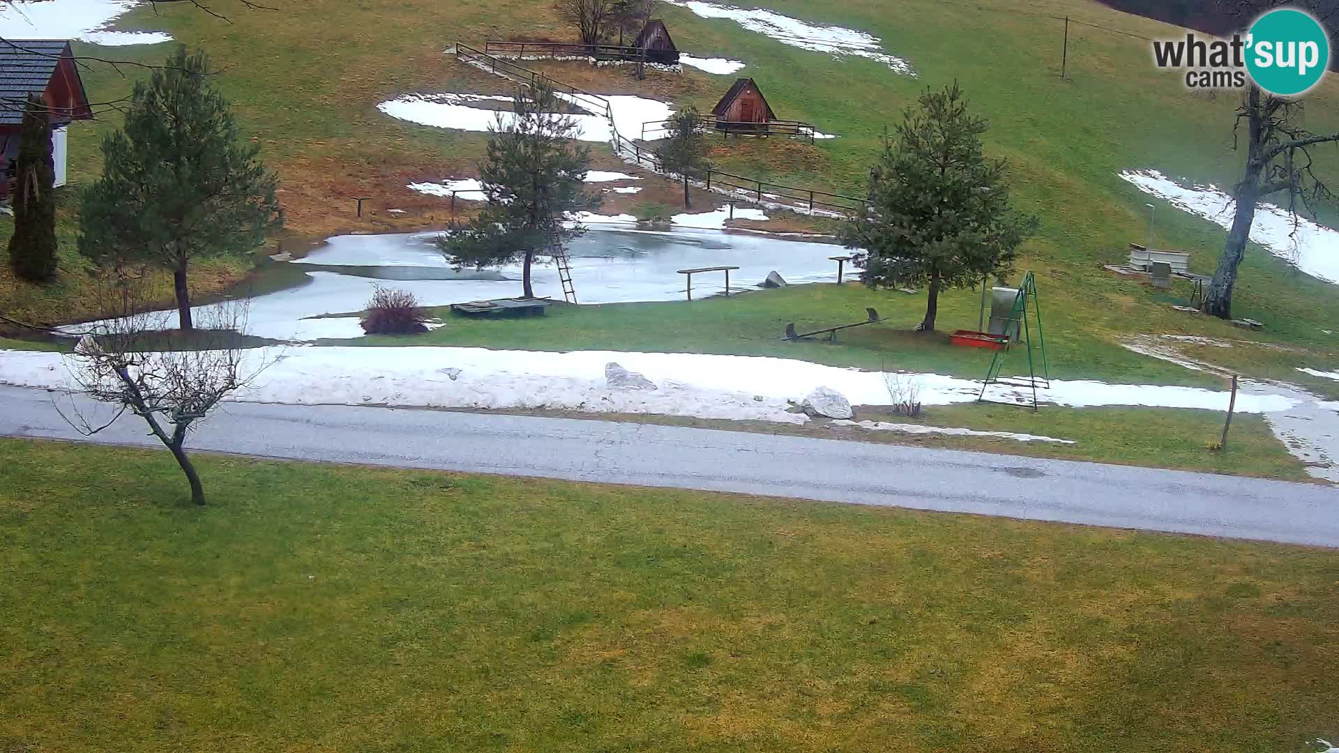 Stagno presso la Fattoria turistica Pr’Vrhovc | webcam in diretta