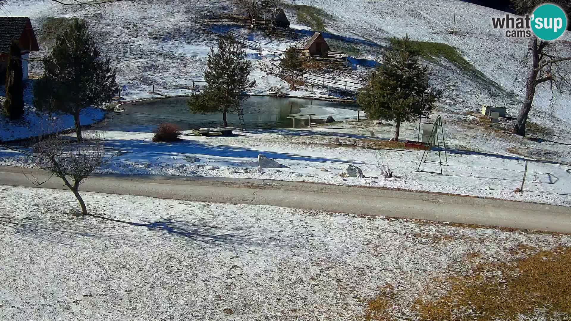 Pond at the Pr’Vrhovc Homestead Webcam