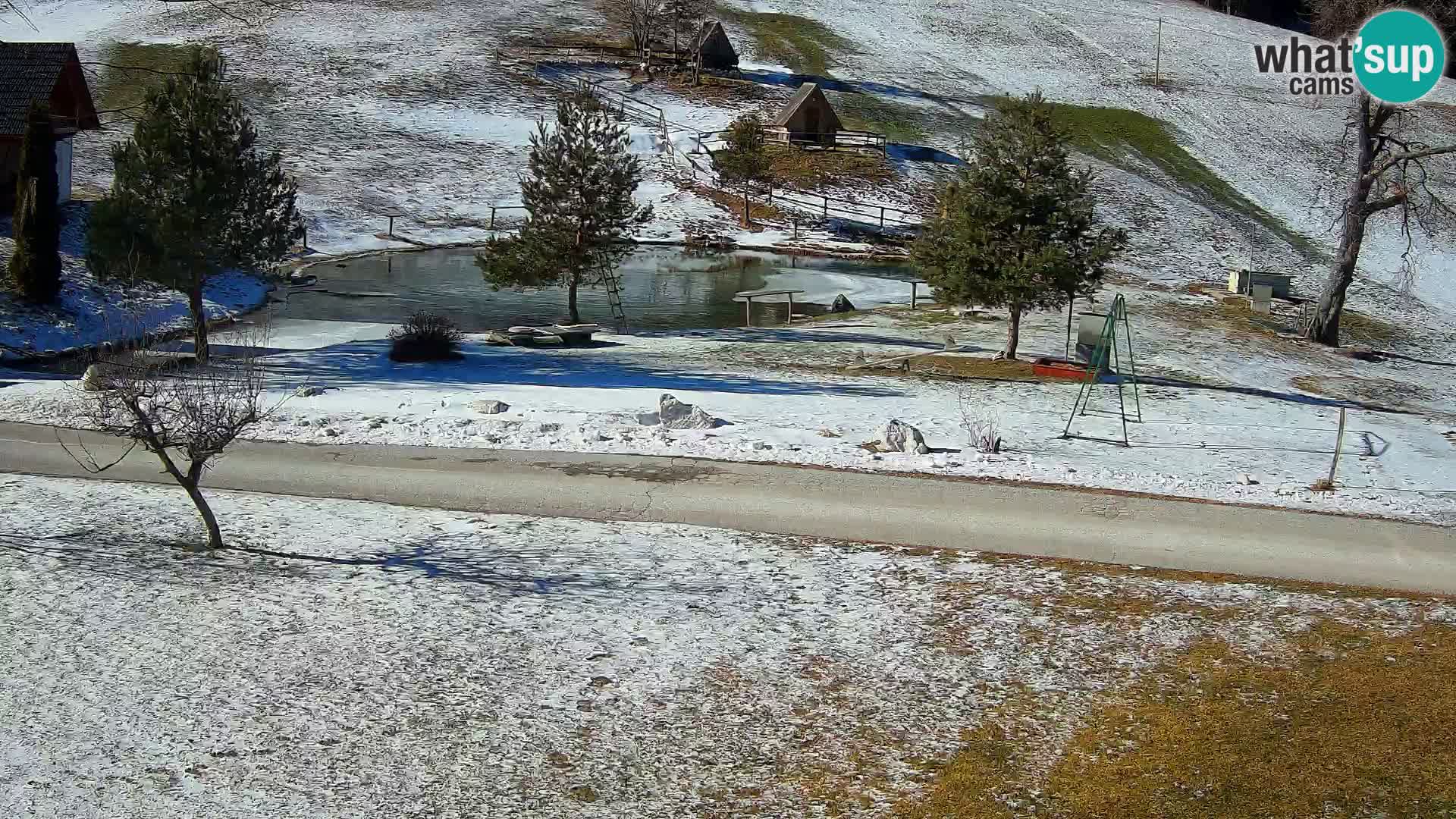 Pond at the Pr’Vrhovc Homestead Webcam