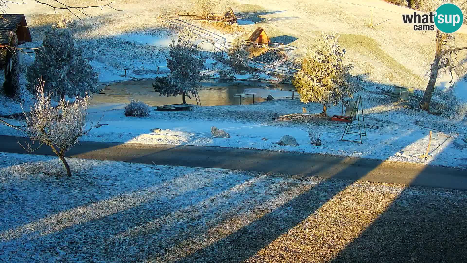 Stagno presso la Fattoria turistica Pr’Vrhovc | webcam in diretta