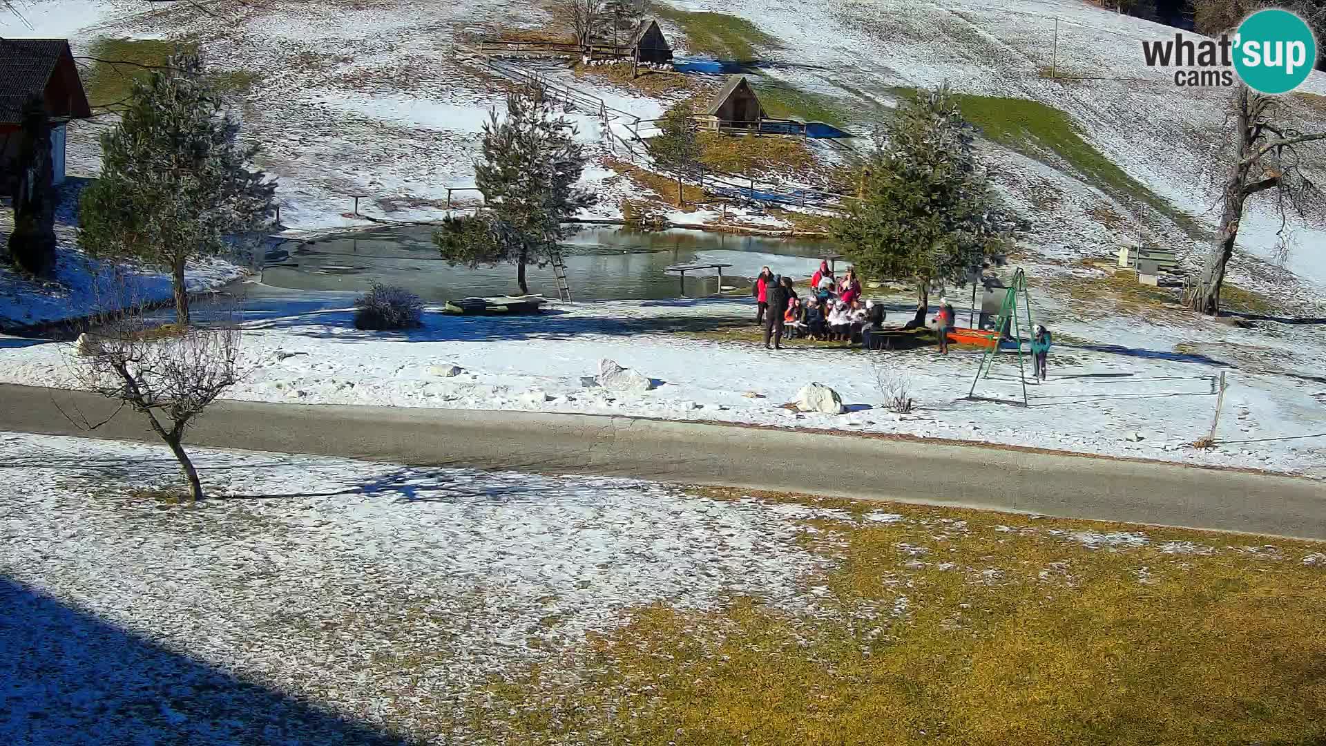 Stagno presso la Fattoria turistica Pr’Vrhovc | webcam in diretta