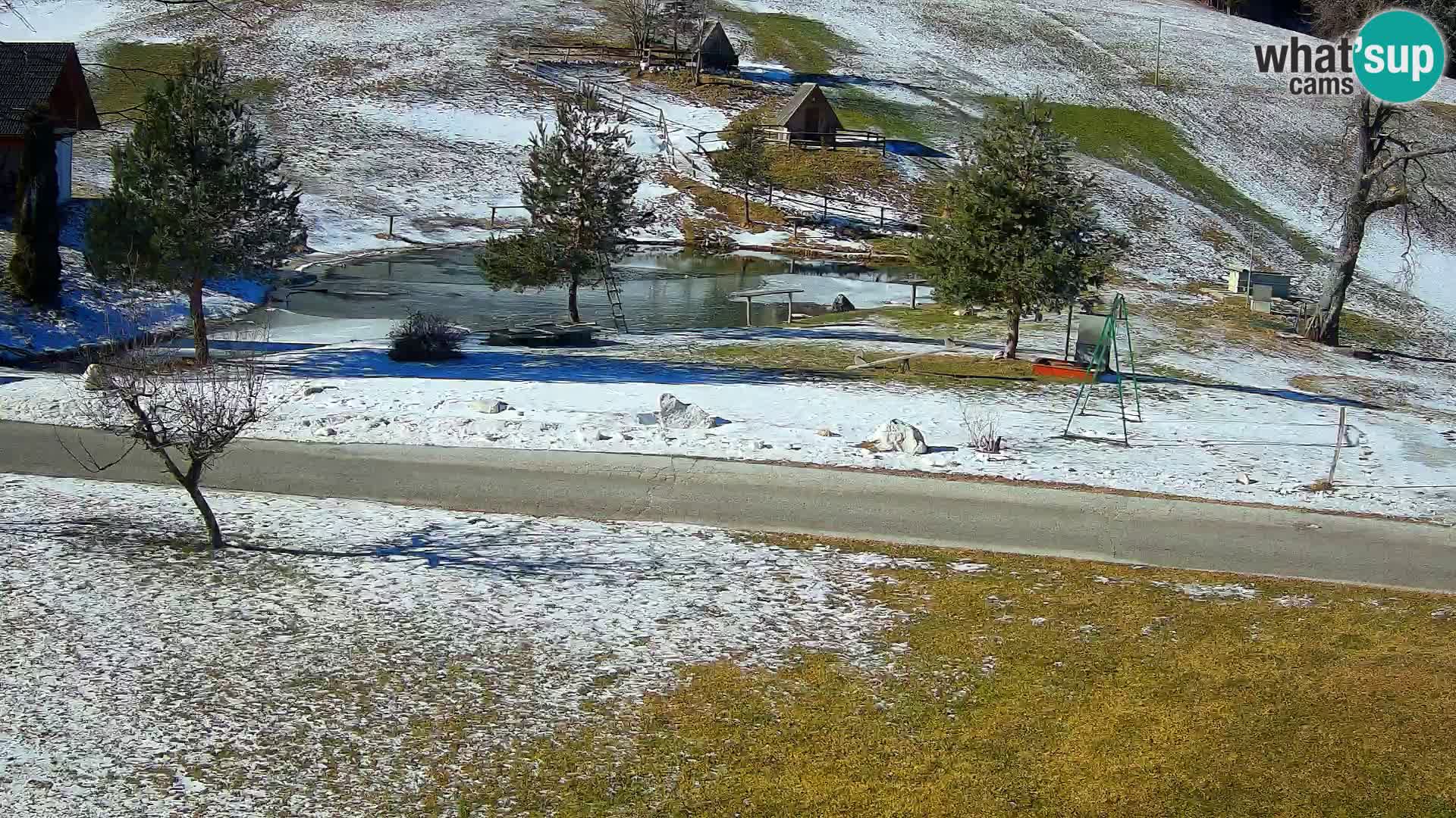 Teich auf dem Bauernhof Pr’Vrhovc | Webkamera