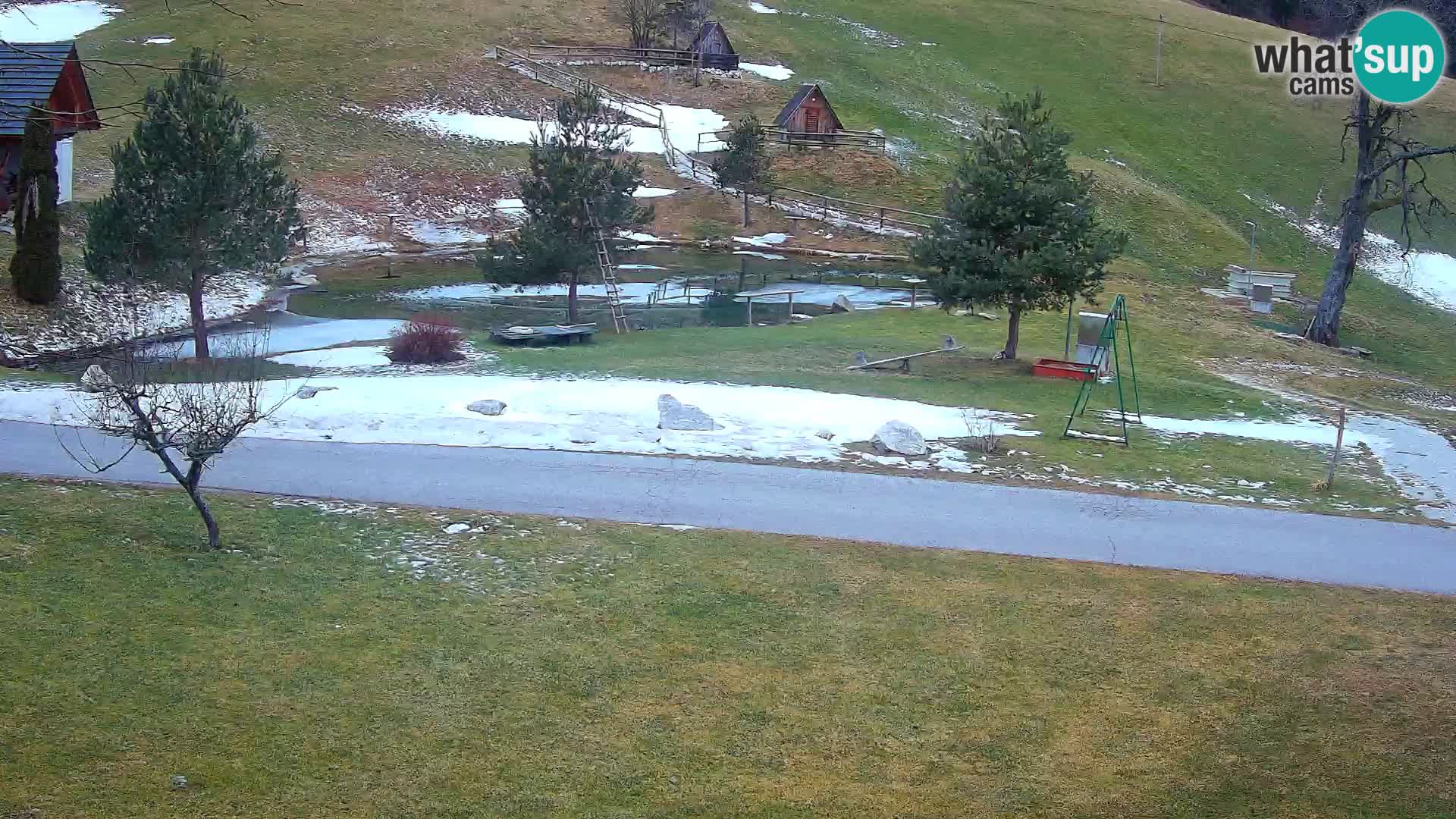 Pond at the Pr’Vrhovc Homestead Webcam