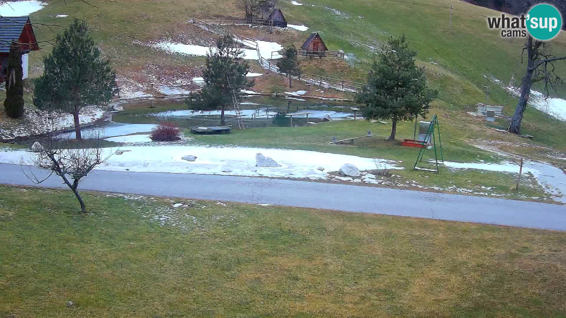 Teich auf dem Bauernhof Pr’Vrhovc | Webkamera