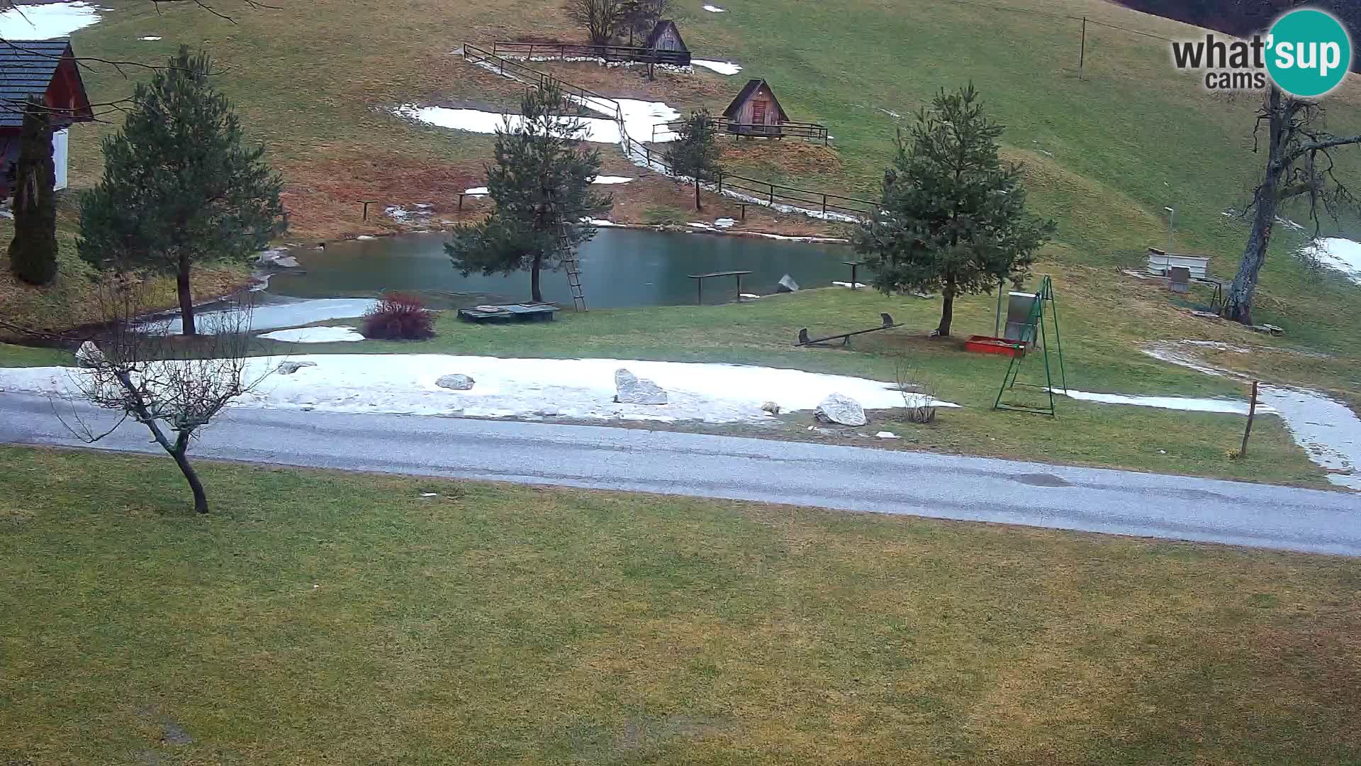 Pond at the Pr’Vrhovc Homestead Webcam