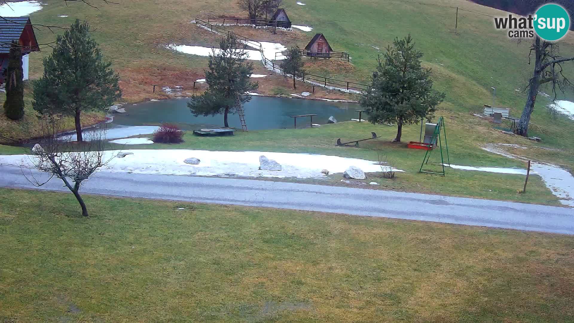 Teich auf dem Bauernhof Pr’Vrhovc | Webkamera