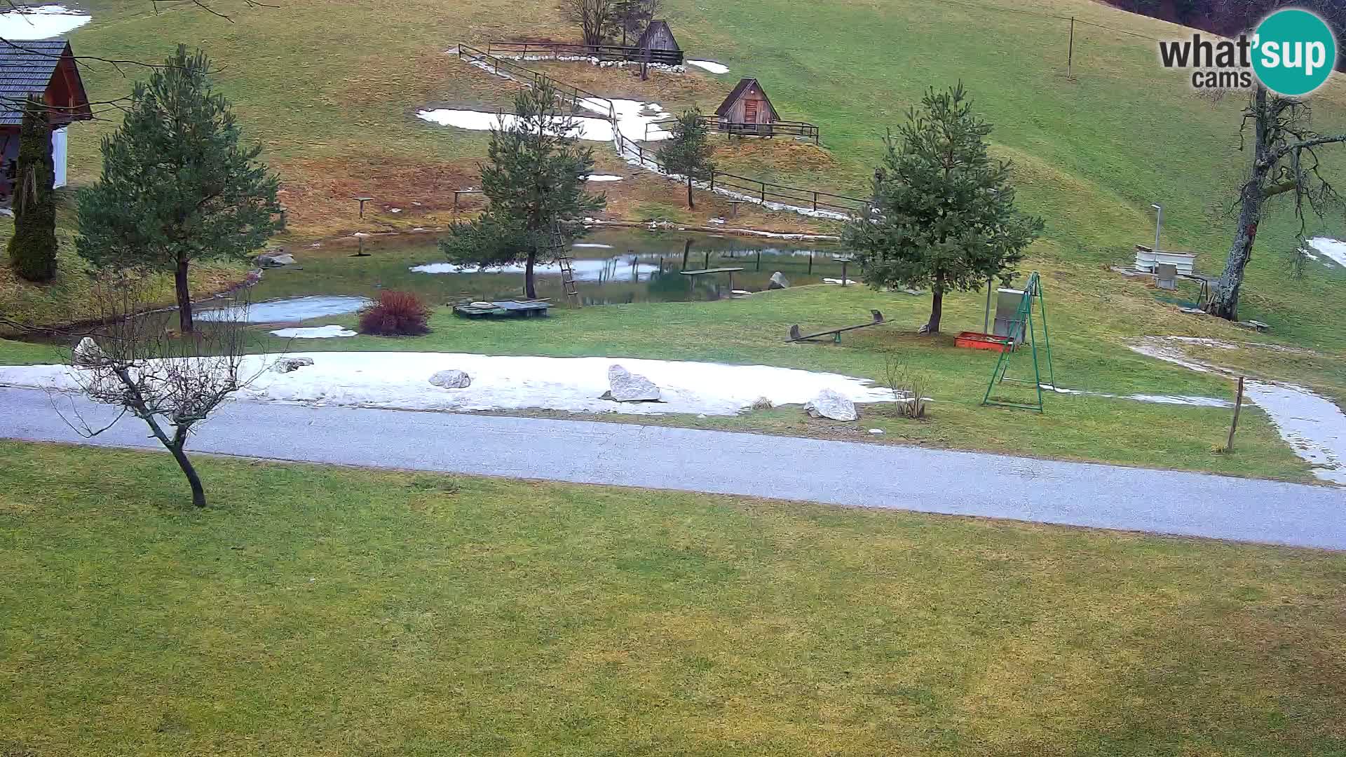 Stagno presso la Fattoria turistica Pr’Vrhovc | webcam in diretta